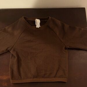 Offline Aerie brown long sleeved crop top